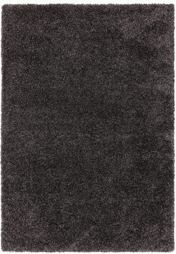 ASY Ritchie 080x150cm Charcoal Rug