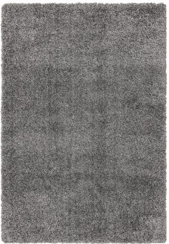 ASY Ritchie 080x150cm Grey Rug