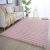 AMBIANCE_5110_ROSE_120 X 170